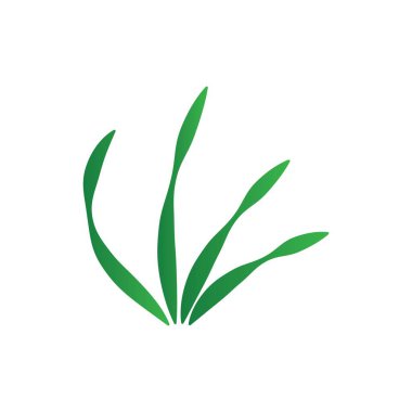 Deniz yosunu logo şablonu vektör çizimi