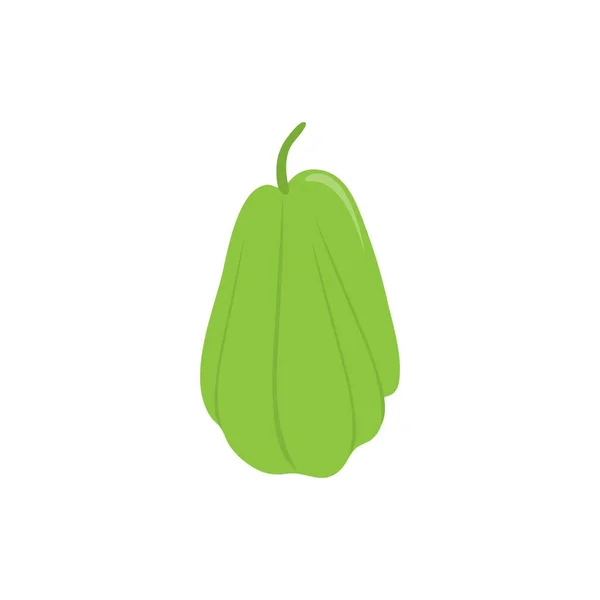 Illustration Vectorielle Modèle Logo Chayote — Image vectorielle