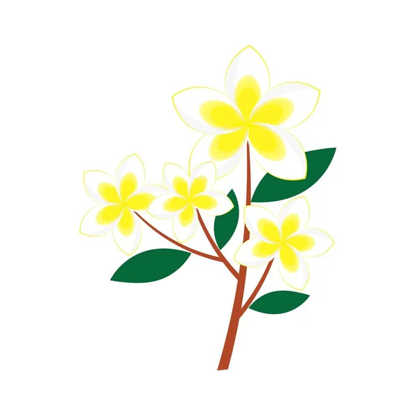 柬埔寨花卉图标模板说明矢量 — 图库矢量图片