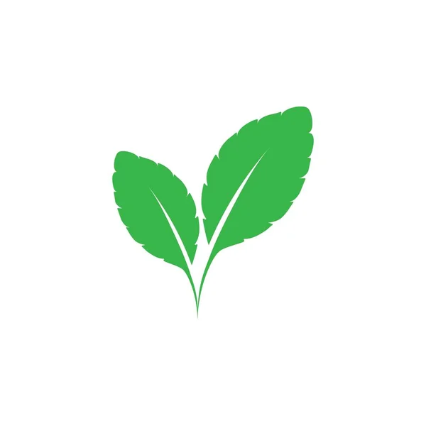 Menta Foglie Icona Logo Modello Vettoriale Illustrazione — Vettoriale Stock