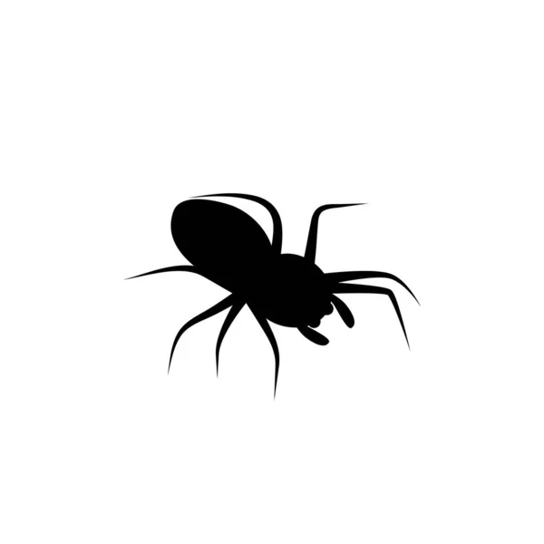 Ícone Aranha Logotipo Vetor Ilustração —  Vetores de Stock