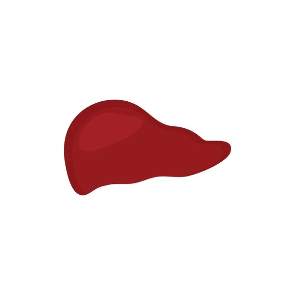 Логотип Піктограми Печінки Людини Безкоштовний Векторний Дизайн — стоковий вектор