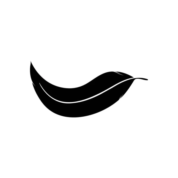 Design Vektor Für Federsymbol Logo Vorlage — Stockvektor