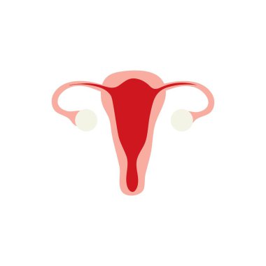 Kadın üretimi, uterus simgesi şablon vektör tasarımı