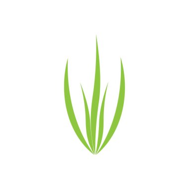 β ulina simge şablonu vektör tasarımı