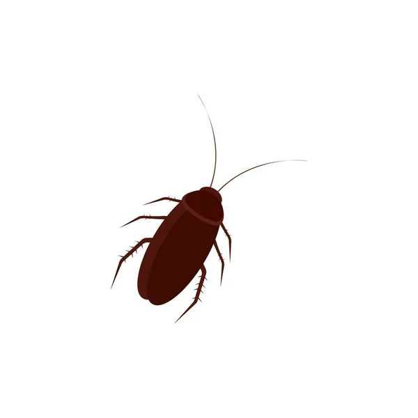 蟑螂图标模板矢量设计 — 图库矢量图片