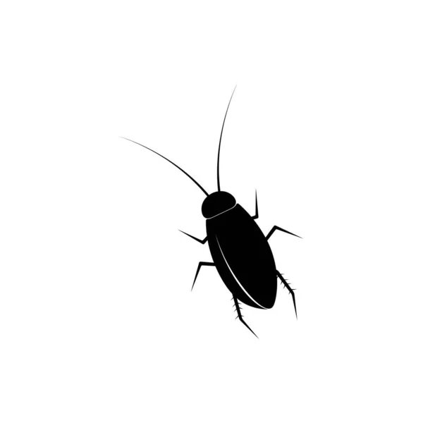 Hamamböceği Simgesi Şablon Tasarımı — Stok Vektör