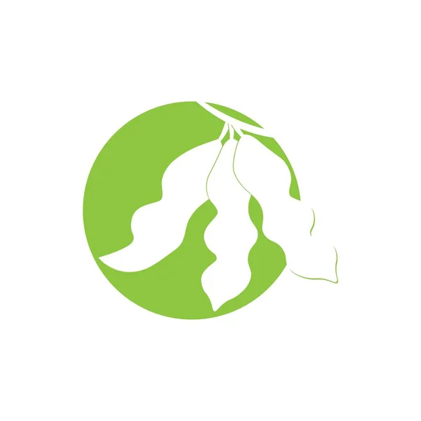 Векторный Дизайн Логотипа Сои — стоковый вектор