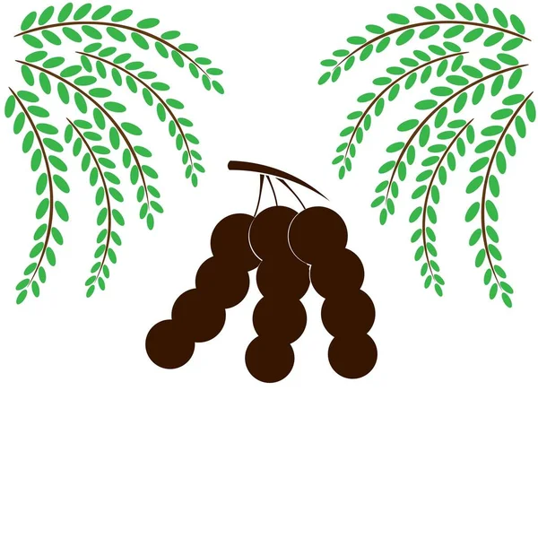 Векторный Дизайн Логотипа Tamarind — стоковый вектор
