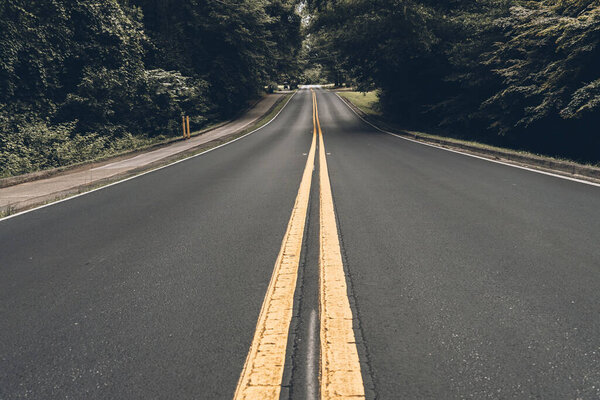beautiful view of asphalt road, straight lines.