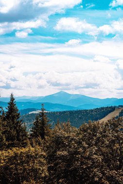 Yazın Ukrayna Karpatlarının dağ sıraları tonsal bir perspektifle. Yüksek kalite fotoğraf