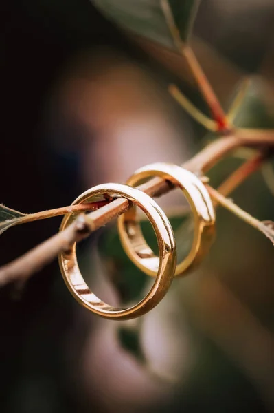 Wedding Rings Wedding Accessories Decor High Quality Photo — Stock Photo, Image