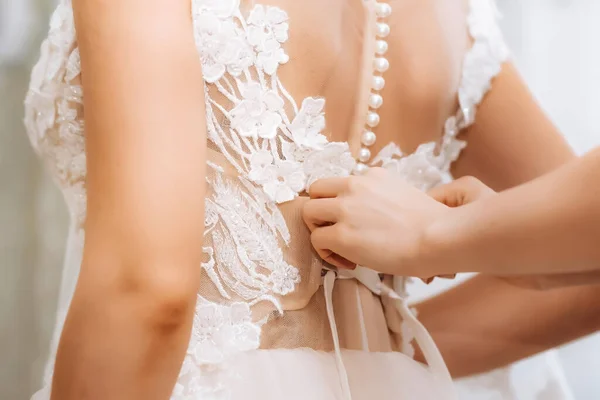 Corset of the bride. Brides fees. Corset lacing. High quality photo