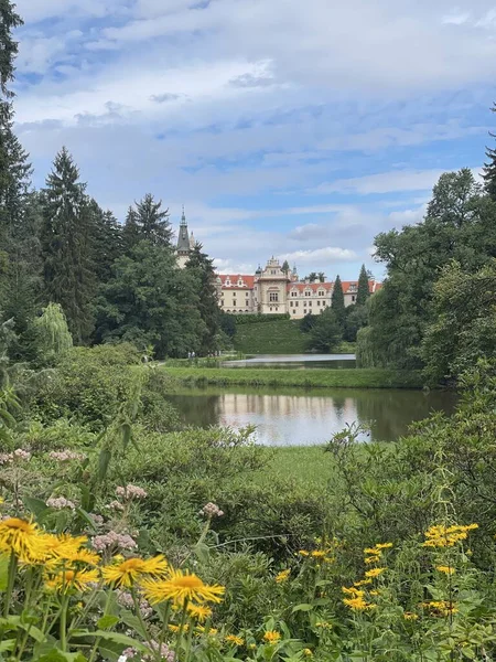 lake with a castle in the background and a reflection of the castle on the water, trees on the sides and shrubs on the shore