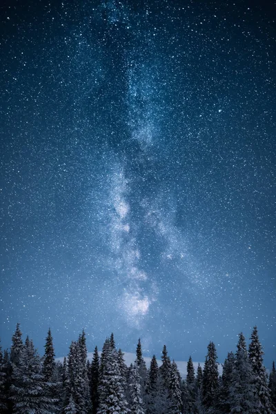 Estrelas Caminho Leitoso Acima Das Árvores Noite Inverno — Fotografia de Stock
