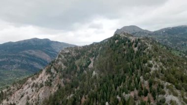 Bir dağ zirvesi ve bir çam ormanı üzerinde uçuyor. Dağların üzerinden bulutlu havada uçan, hindideki dağlık arazi.