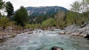 Türkiye dağlarında geniş bir nehir. Çevresinde hızlı bir akıntı, bulutlu hava ve kozalaklı orman var.