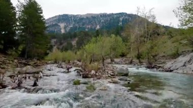 Türkiye dağlarında geniş bir nehir. Çevresinde hızlı bir akıntı, bulutlu hava ve kozalaklı orman var.