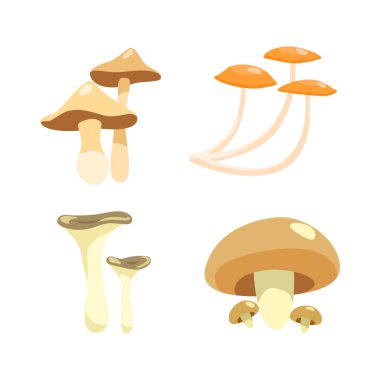 Farklı mantar türlerinin sonbahar çizimleri.