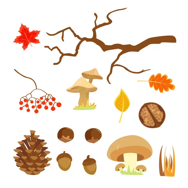 Элементы Осеннего Леса Дары Природы Грибы Орехи Ягоды Изолированная Иллюстрация — стоковый вектор