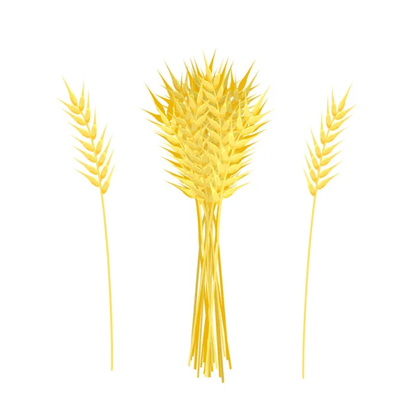 Sheaf Ears Corn Grain Autumn Harvest Farming Wheat Barley Cereals — Stock Vector