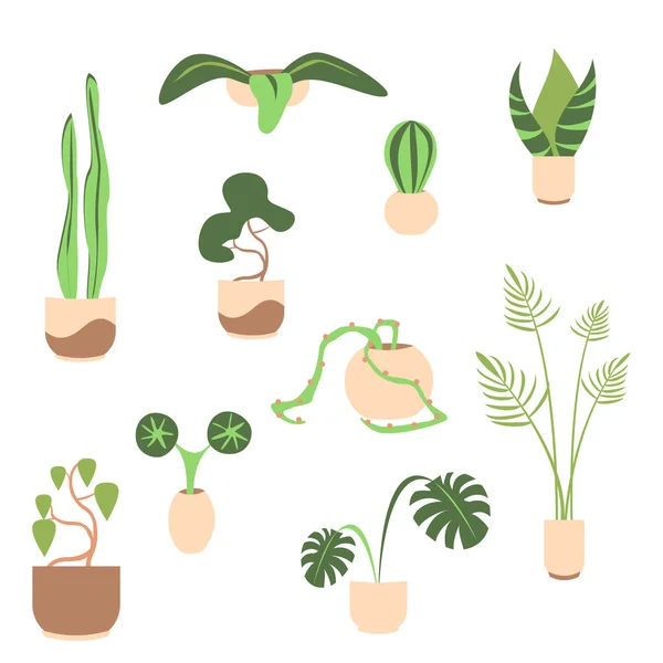 Set Houseplants Pots Vector Flat Illustration Collection Various Pottery Plant — Stock Vector