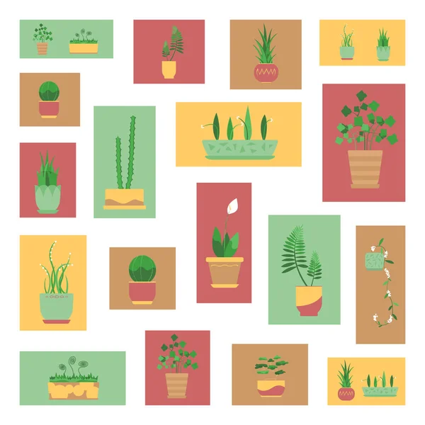 Krukväxter Bakgrund Färgglada Rektanglar Grön Gul Röd Sammansättning — Stock vektor