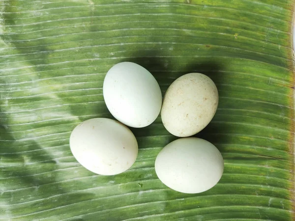 2022年10月19日 印度尼西亚卡拉旺 鸭饲养者的鸭蛋保鲜 — 图库照片
