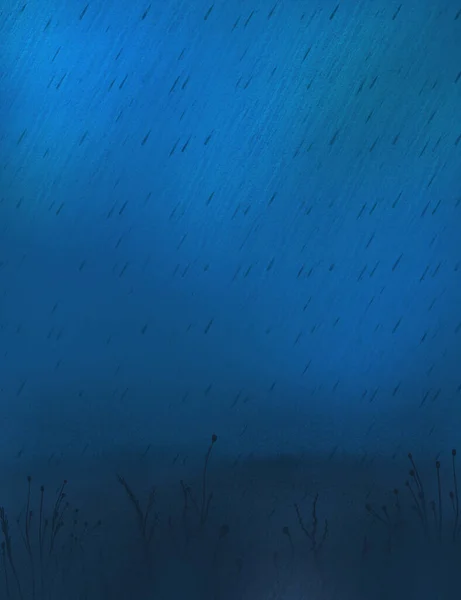 Дощ Нічному Полі Вечірній Пейзаж Сильний Дощ Над Полем Нічна — стокове фото
