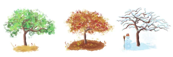 Set Different Types Three Trees Summer Autumn Winter Tree Growing — Stock Photo, Image