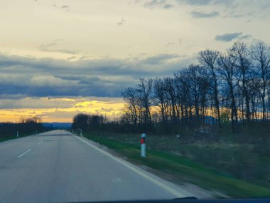 Doğanın, gökyüzünün ve ağacın manzarası. 