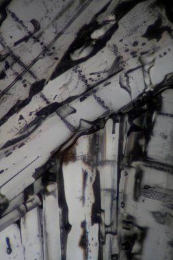 Diphenylamine, hasat sonrası kullanılan bir bitki büyüme regülatörüdür. elmalardaki haşlamayı kontrol etmek için. 