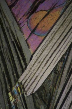 Pikrik asit, ayrıca 2,4,6-trinitrofenol olarak da bilinir, soluk sarı, kokusuz kristal katı askeri patlayıcı, sarı boya ve antiseptik olarak kullanılır..