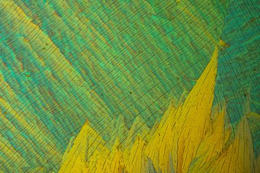 Dimetilanilinden türetilmiş bir azo boyası. Sarı bir katıdır. Muhtemel bir kanserojen. Zehir bulunmadan önce tereyağı ve margarinde gıda katkı maddesi olarak kullanılmıştı.. 