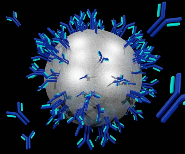 Renderizado Anticorpo Conjugado Sobre Nanopartículas — Fotografia de Stock