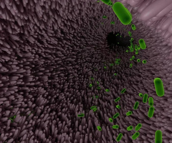 microbiome inside of digestive tract 3d rendering