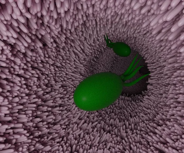 microbiome inside of digestive system tract in 3d