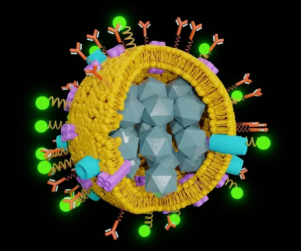 Propriedades Das Nanopartículas Lipossoma Para Entrega Droga Com Proteínas Biosensor — Fotografia de Stock