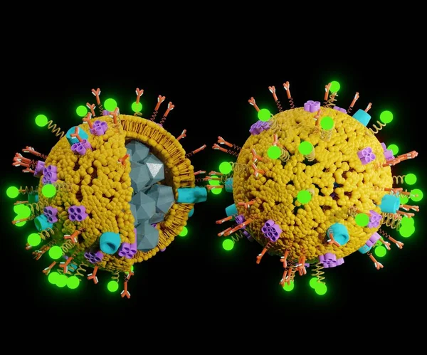 Eigenschappen Van Liposome Nanodeeltjes Voor Druglevering Met Proteïnen Biosensor Liganden — Stockfoto