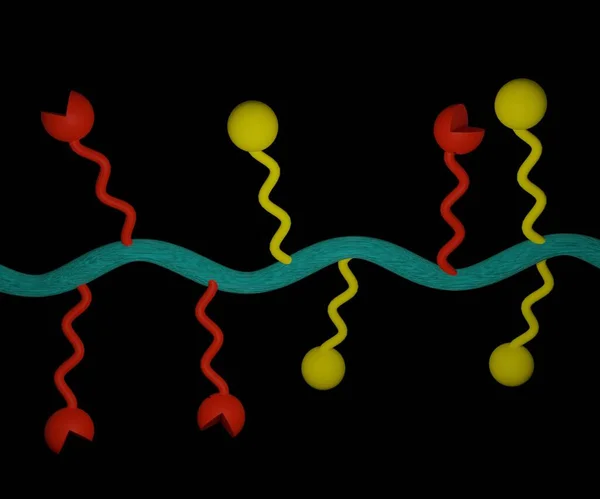 Polimer Uyuşturucu Eşlenikleri Polimer Moleküllerde Tutulan Boyutlu Ilacın Dağıtım Sistemi — Stok fotoğraf