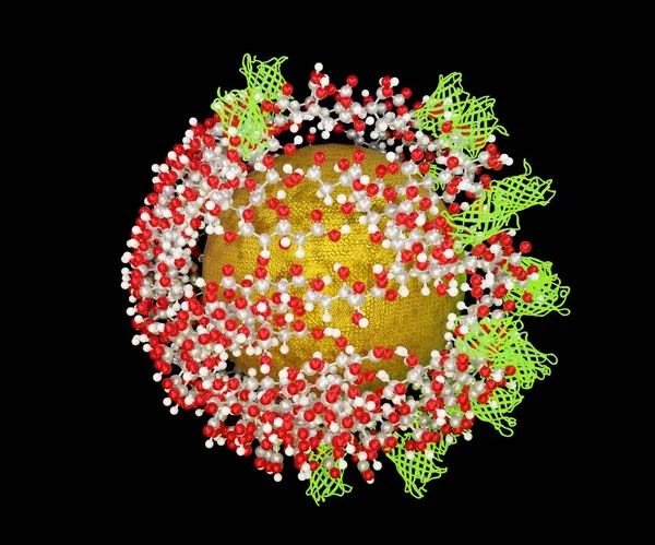 クエン酸を含む金ナノ粒子への緑の蛍光タンパク質 — ストック写真