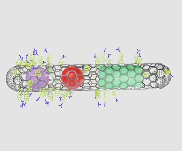 Nanotubo Los Extremos Cerrados Con Las Proteínas Anticuerpos Droga Sensor — Foto de Stock