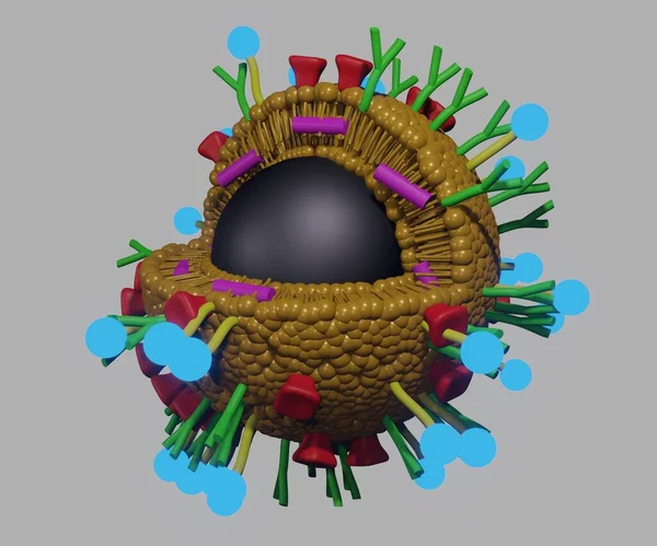 Uyuşturucu teslimatı için manyetik nanopartiküllerin özellikleri