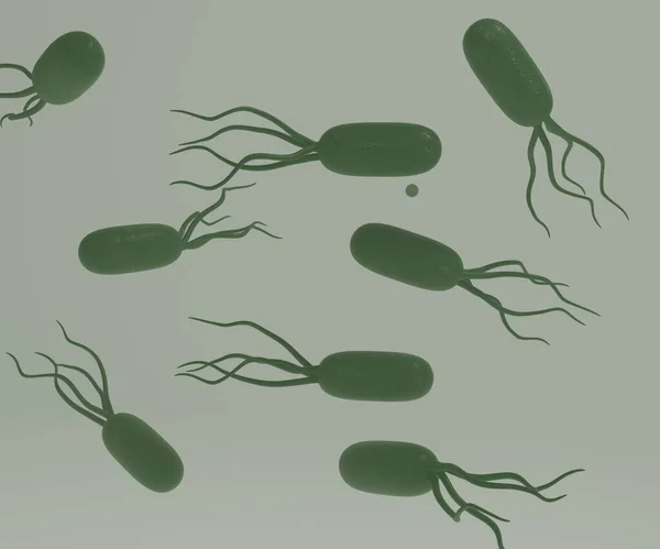 Bacilo Bacterias Nadando Agua Renderizado —  Fotos de Stock