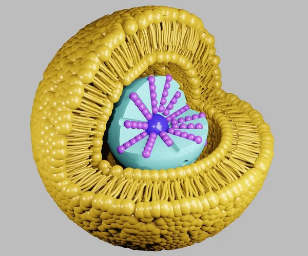 Sıvı Bikatman Nanopartiküler Uyuşturucu Teslimatı Mezopporöz Silis Görüntüleme Içinde — Stok fotoğraf