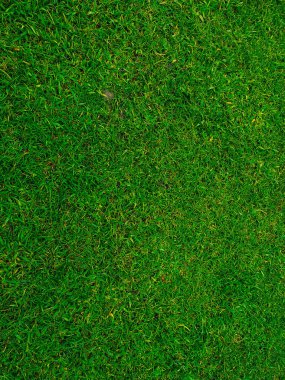 Yeşil çimen desenli arka plan yeşil arkaplan yapımında kullanılan çimen bahçesinin üst görüntüsü. Futbol sahası için çimenlik. yeşil çimen desenli arka plan.