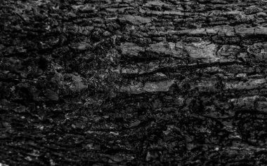 Ağaç kabuğu dokusu ve soyut arkaplan. desen ve doku arkaplanı.