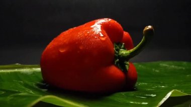Kapsicum 'un su damlacıklarıyla yakın çekim görüntüleri. Kırmızı biber..