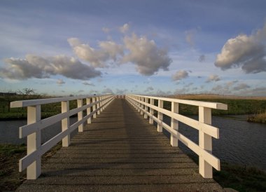 Alblasserwaard polder manzarası