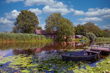 Alblasserwaard polder manzarası